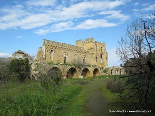 stello duca di Misterbianco-08-03-2014 20-35-30